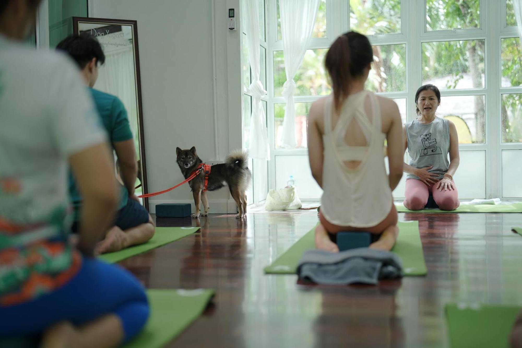 Blu Monkey Pooltara Krabi Hotel & Villas Pet Friendly Екстер'єр фото